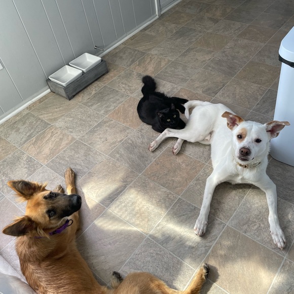 Meet your Posher, Destinee - Picture 5 of 5